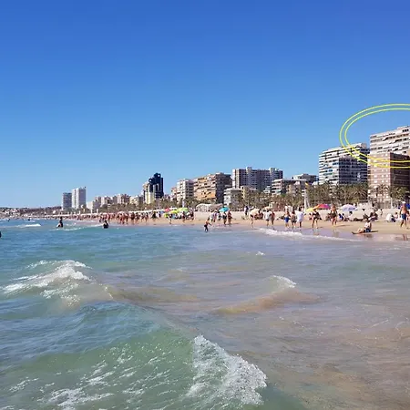 Nereo 13 * Alicante