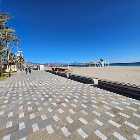 Nereo 13 * Alicante